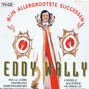 Mijn Allergrootste Successen