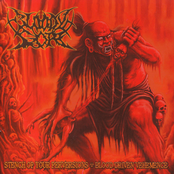 Stench Of Your Perversions - Blood Driven Vehemence