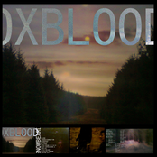 OX BLOOD