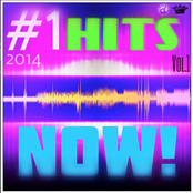 Hits for the Summer 2014