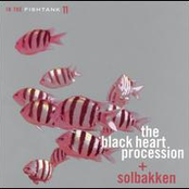 the black heart procession and solbakken