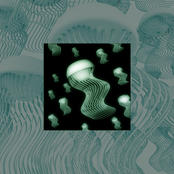 Jellyfish Music