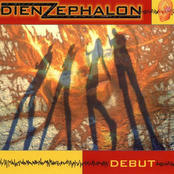 Dienzephalon