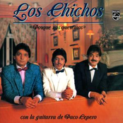 La Espalda Te Dan by Los Chichos