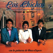 Un Pasatiempo by Los Chichos