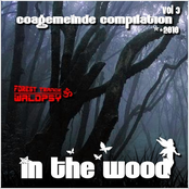 In the Wood