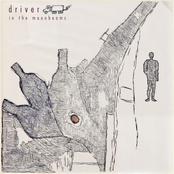 Driver in the moonbeams