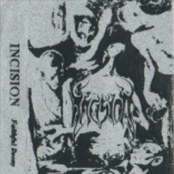 Faithful decay