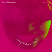 The Mountains Aren't Real (Empress Mix) - Single
