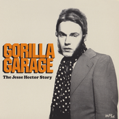 Outa My Brain by The Gorillas