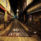 Sleazy Flowers