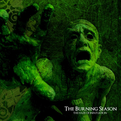 Losing My Voice by The Burning Season