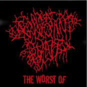 The Worst of Ignorant Cunt