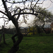 When We Finally Fall Asleep