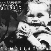 An Old Fashioned Grindcore Assault Vol. 2 Compilation