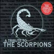 A Tribute To The Scorpions