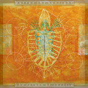 Outrun The Sunlight: The Return Of Inertia