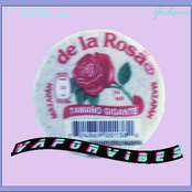 Vaporvibes