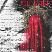 Veiled In Velvet