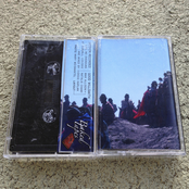 Aquarium Guru Shares The Secret Tactic