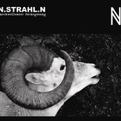 anschwellender bocksgesang