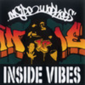 Inside Vibes