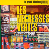 Hasta Llegar by Les Négresses Vertes