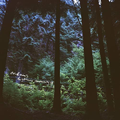 "Stein & Mari's Daydream Community"