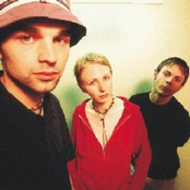 The New Testament Of Funk