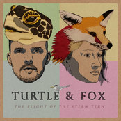 The Plight of the Stern Tern