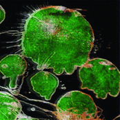 You and I Are from the Center