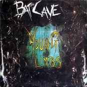 Young Limbs and Numb Hymns