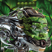 未来俱乐部 CLVB ZVKVNFT