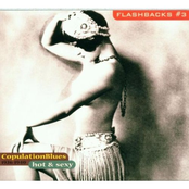 Flashbacks, Volume 3: Hot & Sexy: Copulation Blues 1926-1940