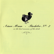 Aimee Mann: Bachelor No. 2 (or, The Last Remains of the Dodo)