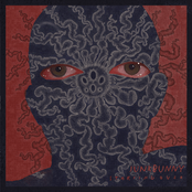 JunkBunny: Starting Over