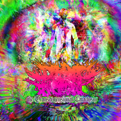 The Transdimensional Cataclysm