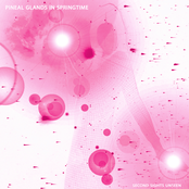 Second Sights Unseen