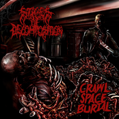 Crawl Space Burial (EP)