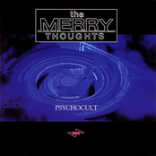 Psychocult by The Merry Thoughts