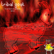 True Koza On Polanas