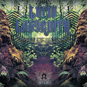 VA - Temple of Lucidity - Lucid Labyrinth Tribal Gathering Australia