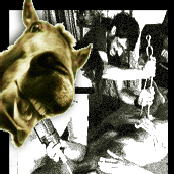 io ti lecco quando vuoi