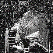 Swallowed By The World