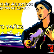 Respiros de Cartón