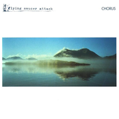 There But Not There by Flying Saucer Attack