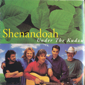 Under the Kudzu