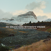 No Branches Without Trees