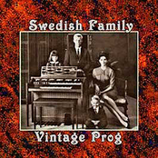The Flu by Swedish Family