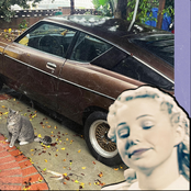 Dyego: Disposable Perception of Me